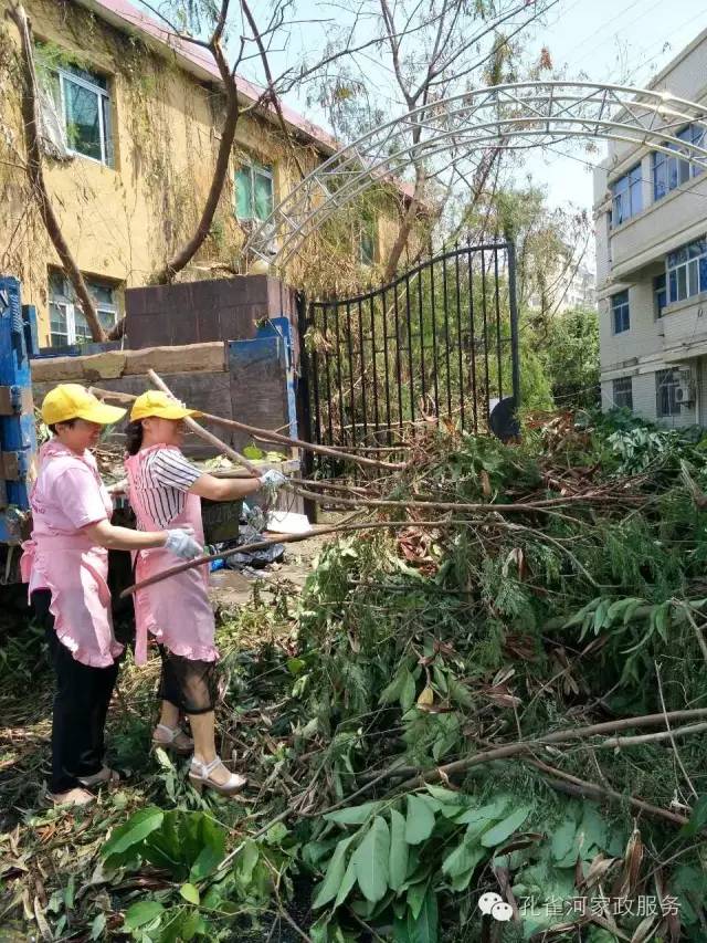 ��������y���������