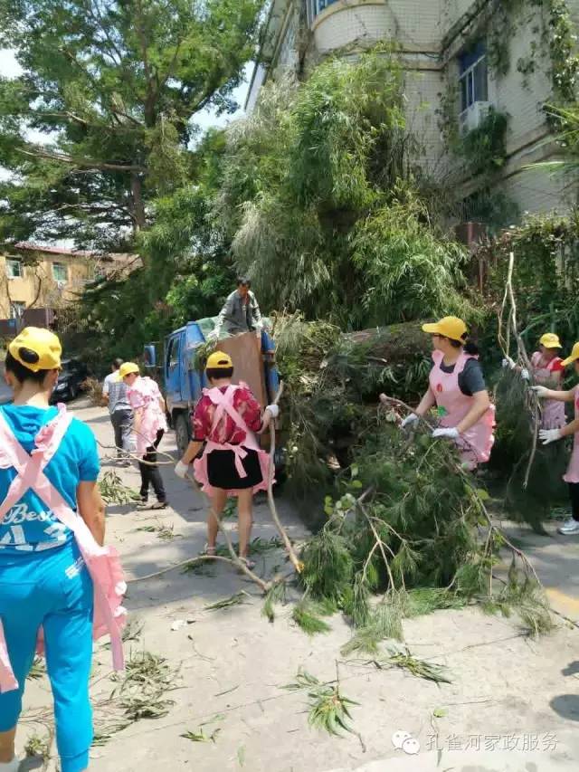 ��������y���������