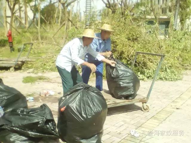 ��������y���������