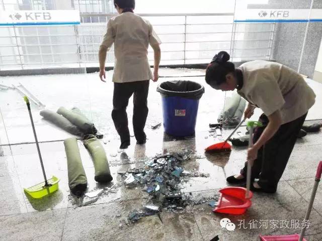 ��������y���������