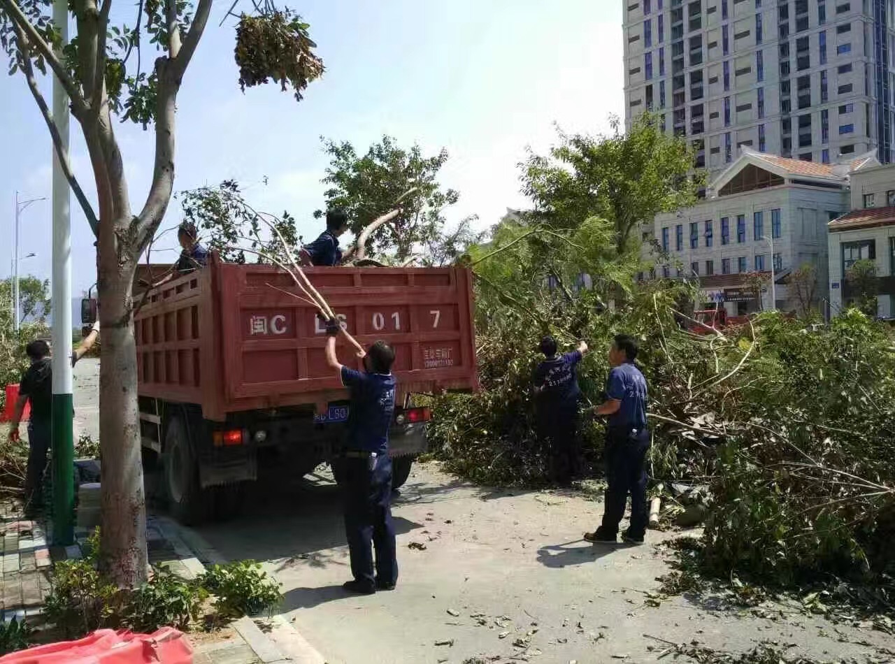 廈門家政公司接力災(zāi)后重建義工活動(dòng)