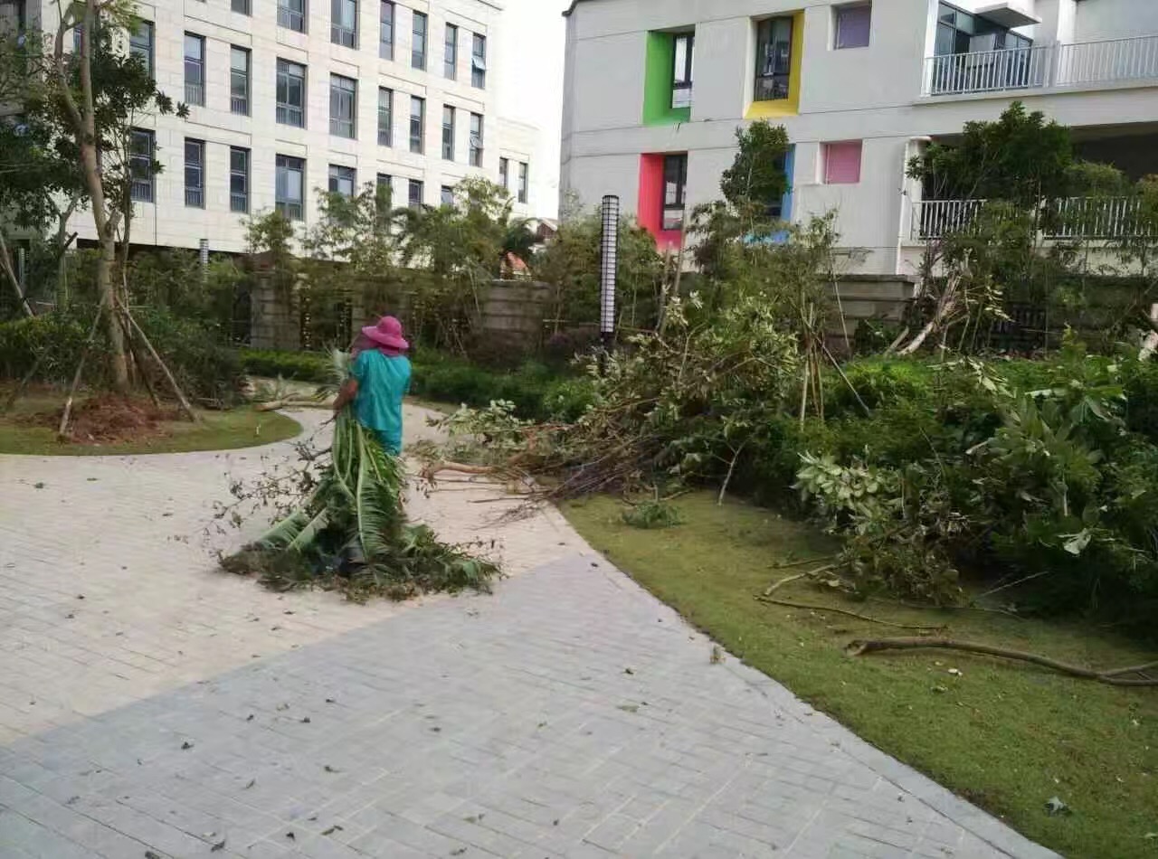 廈門家政公司接力災(zāi)后重建義工活動(dòng)