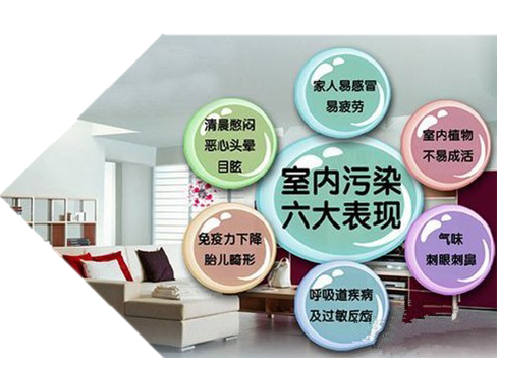 ��ȩ��̎�������������՚�����ֶ�